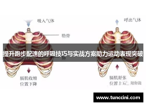 提升跑步配速的呼吸技巧与实战方案助力运动表现突破