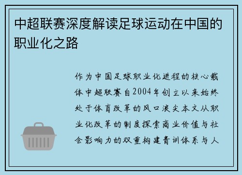 中超联赛深度解读足球运动在中国的职业化之路