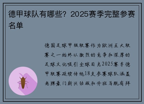 德甲球队有哪些？2025赛季完整参赛名单