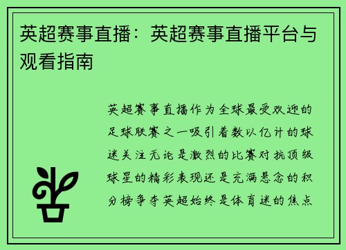 英超赛事直播：英超赛事直播平台与观看指南